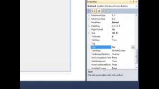 Create Simple Web browser in Visual Basic 2010 Express