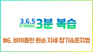 [3분리뷰] #06 - 바이올린 왼손 자세 잡기\u0026운지법 l 3.6.5 Strings