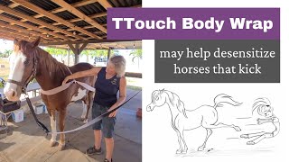 TTouch body wrap for desensitizing horses that might be defensive or kicky