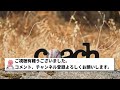 【熱いロッテディス】伊藤大海「今日のダルさんと同じくらいのピッチングだった。まぁ相手が相手ですけど」