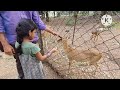 kinnerasani wildlife sanctuary in telugu ktps kinnerasani dam telangana telugu travel vlogs