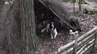 Building A Lean-To Shelter