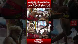 అయ్యప్ప మాలధారణ ఎలా వేస్తారో చుడండి... Ayyappa Mala #ayyappa #shorts  #tagtelugudivine