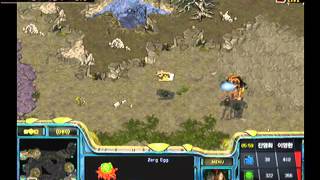 [2010.01.08] EVER 스타리그 2009 4강 B조 3경기 (태풍의눈) 진영화(Protoss) vs 이영한(Zerg)