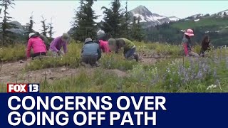 Photo frenzy at WA’s Mt. Rainier raises alarm over environmental damage | FOX 13 Seattle