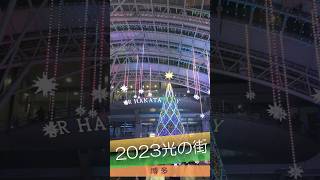 博多駅イルミネーション【光の街·博多】福岡のクリスマスを壮大に彩る！