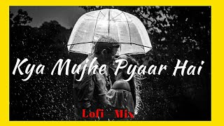 Kya Mujhe Pyaar Hai | Hindi Lofi | Bollywood Lofi Flip | Mr Shanks🌊
