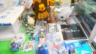 閑散としたフリマでの購入品紹介【フリーマーケット】Flea market purchase item introduction