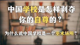 中国学校是怎样剥夺你的自尊的？为什么说中国学校是一个巫术场所？一集看穿中国社会符号系统的虚假性｜普通学｜内卷｜心理学｜教育｜社会学｜哲学｜布尔迪厄｜