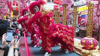 2022 CNY Acrobatic Lion Dance Performance by Kun Seng Keng @ Mid Valley Megamall #吉隆坡關聖宮龍獅團