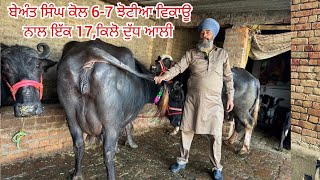 7 February 2025 ਫੋਨ 94782-07405 👈 6-7 ਝੋਟੀਆ ਵਿਕਾਊ ਬੇਅੰਤ ਸਿੰਘ ਕੋਲ ਅੱਜ ਫੇਰ ਇਕ 17 ਕਿਲੋ ਦੁੱਧ ਆਲੀ 😲😲