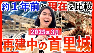 【2025年3月の首里城】再建中の正殿がすごい！現在と約1年前の首里城を比べて解説します！