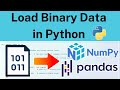Load Binary Data in Python with Numpy & Pandas