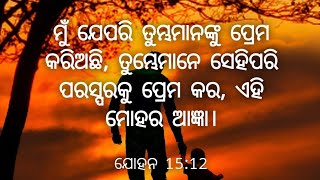 ହାଲ୍ଲେଲୁୟା ଗୀତ ଗାଇବି ଯୀଶୁଙ୍କ ନାମରେ ଚାଲିବି#jesus #christianity #christiansong #christmas#paritrannk77