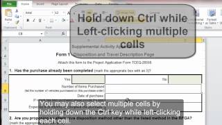 Creating Accessible Microsoft Excel 2010 Documents: Accessible Excel Forms, Part 1
