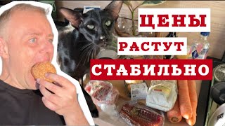 В поисках необходимых продуктов: рынок, Stockmann, Sky & More, Hartvik, Lidl.