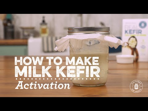 Activating Milk Kefir Grains Activating Milk Kefir Grains