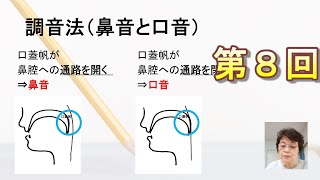 第8回　日本語教育能力検定試験対策「声帯振動、調音法、鼻音と口音 」