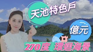 【睇樓億億聲】天池特色戶 | 九運風水寶地 | 連古天樂都進駐 | 泓碧#馬雲#馬化騰#騰訊#疫苗#送樓#新股#豪宅#賽馬#TESLA#鄧成波#玄學#風水#命理#豪宅#九龍站#凱旋門#君臨天下#天匯