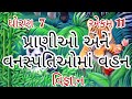 પ્રાણીઓ અને વનસ્પતિઓમાં વહન || Std 7 Sem 2 Unit 7 || Pranio Ane Vanspatioma Vahan || વિજ્ઞાન