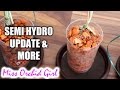 Orchids in semi hydroponics - Updates and thoughts