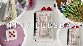 Tiny Tuesday| Saving Challenges|| Cash Stuffing|| I’m so saving challenge OBSESSED|🍆🤧| so close 🎯💳