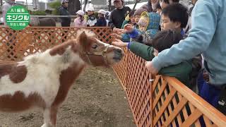 餌やり、乗馬楽しいね　寒河江・特別支援学校児童がホースセラピー体験