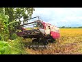 COMBINE HARVESTER MAXXI BIMO NDR 102L BEKERJA DI LAHAN LENGKET