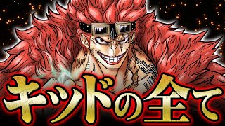 【総集編】海賊王への軌跡。主人公ルフィのライバル ユースタス・キッド回まとめ【 ワンピース 解説 】