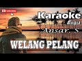 KARAOKE ELEKTON || WELANG PELANG || de'na peddi pada-pada ||  CIPT. ANSAR S.