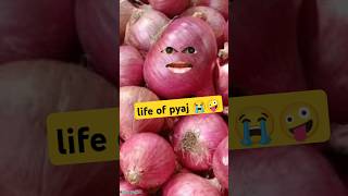 life of pyaj 😭🤪#funnyshorts #comedyshorts #shots #youtubeshorts  #yshorts  @thethar_puns  #funny