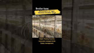 The most advanced modern broiler raising technology | broiler farm - RETECH Farming