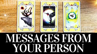 PICK A CARD 🔮❤️MESSAGES FROM THE PERSON ON YOUR MIND ❤️🔮 They Want YOU to Know THIS! 🌟 Tarot Reading