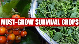 TOP 15 Crops to Grow at Home to Save You From STARVING