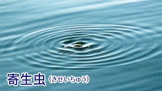 寄生虫に侵された生物をデカイ魚が喰いにくる