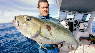 Spearfishing Tips For Hunting MONSTER JOBFISH Catch And Cook | Bird Rescue | GOPRO x YBS - Ep 72