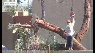 Cleanup continues week after destructive storms across Arizona
