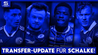Transfer-Update Schalke: So steht es um Gantenbein, Kabadayi, Conteh, Meyer, Younes, Mohr und mehr!