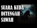 BERCAKAP DENGAN JIN SIRI 263 - 265 || SUARA KUDA DITENGAH SAWAH