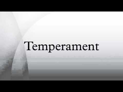 Temperament Youtube