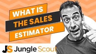 What is the Jungle Scout Sales Estimator: features + pricing + review