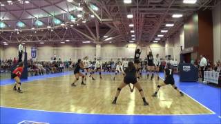 2017 Setter Bailey Waddington #12 - JO's Action