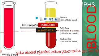 5ರೂ ಹೂಡಿಕೆ ಪ್ರತಿದಿನ,ಆರೋಗ್ಯದಿಂದ ಜೀವಿಸಿ 365 ದಿನ,90 ವಿವಿಧ ರಕ್ತ ಪರೀಕ್ಷೆಗಳು ನಿಮ್ಮ ಆರೋಗ್ಯವಂತ ಆಯುಷ್ಯಕ್ಕಾಗಿ👍