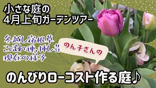 【小さな庭のガーデニング】4月上旬ガーデンツアー。こぼれ種や挿し芽っ子、冬越し宿根草の様子などなど♪