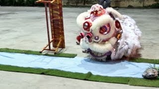 淡江源林龍獅體育會 毒蛇守靈芝 Venturesome Journey - 2013 Old School Lion Dance