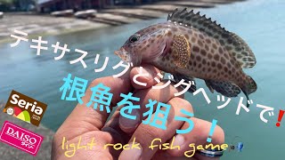 【ライトゲーム】ライトテキサスとジグヘッドでライトロックフィッシュゲーム‼️根魚！ハタ、カサゴ！青物が追ってきた‼️