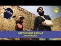 Download Greyhound Racing In Punjab | 101 Heartland With Doctor VC | Unique Stories From India In Mp4 3Gp Full HD Video