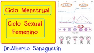 Ciclo Menstrual-Ciclo Sexual Femenino: hormonal, ovárico y uterino