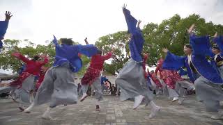 名古屋大学 “快踊乱舞”　第19回犬山踊芸祭　2023年6月4日　からくり会場