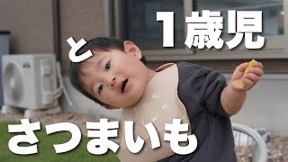 【大食い1歳児】畑で大好物のさつまいもを掘って焼き芋した日